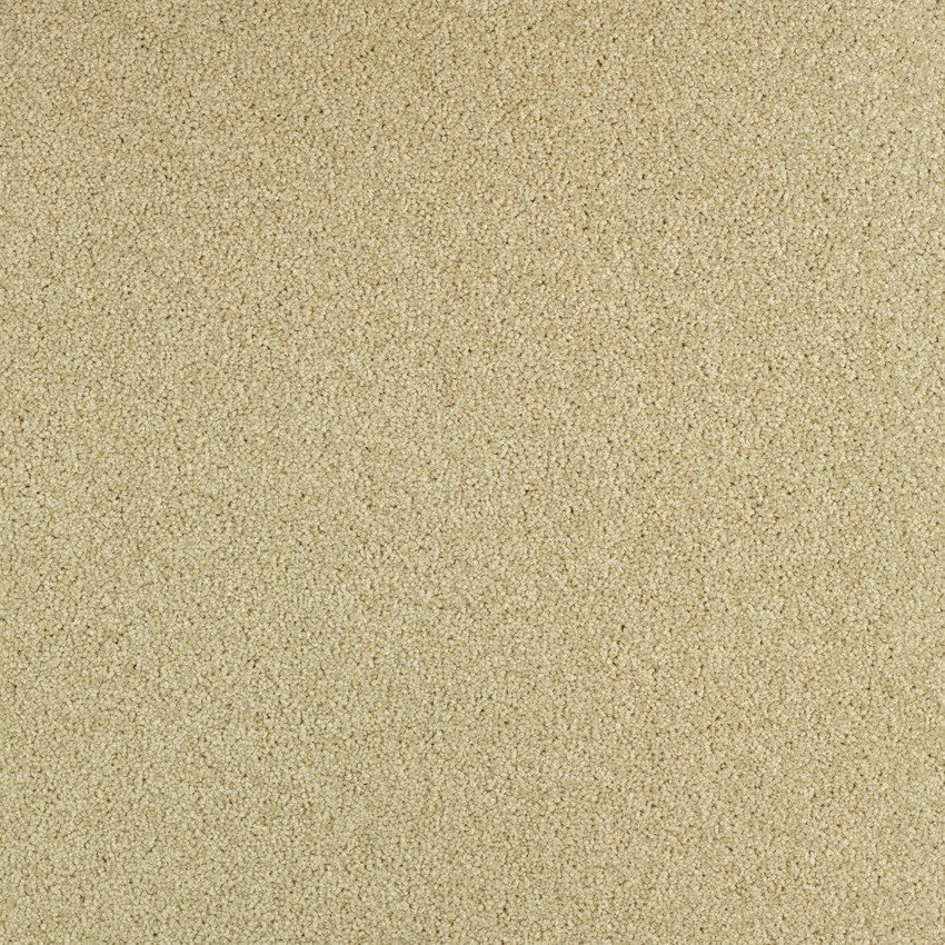 620