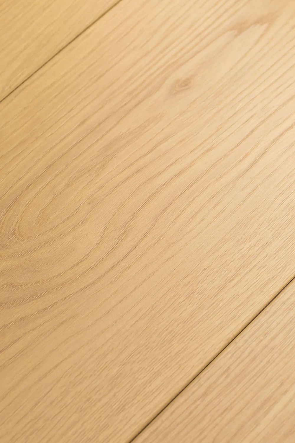 Дуб Атриум | Atrium oak 1F404