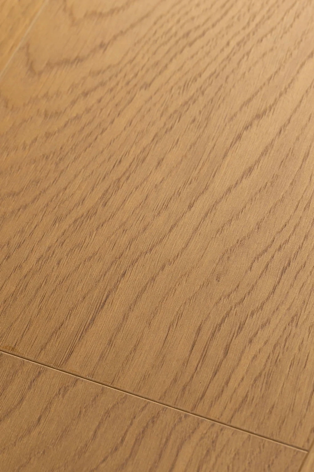 Дуб Джусто | Justo oak 1F316