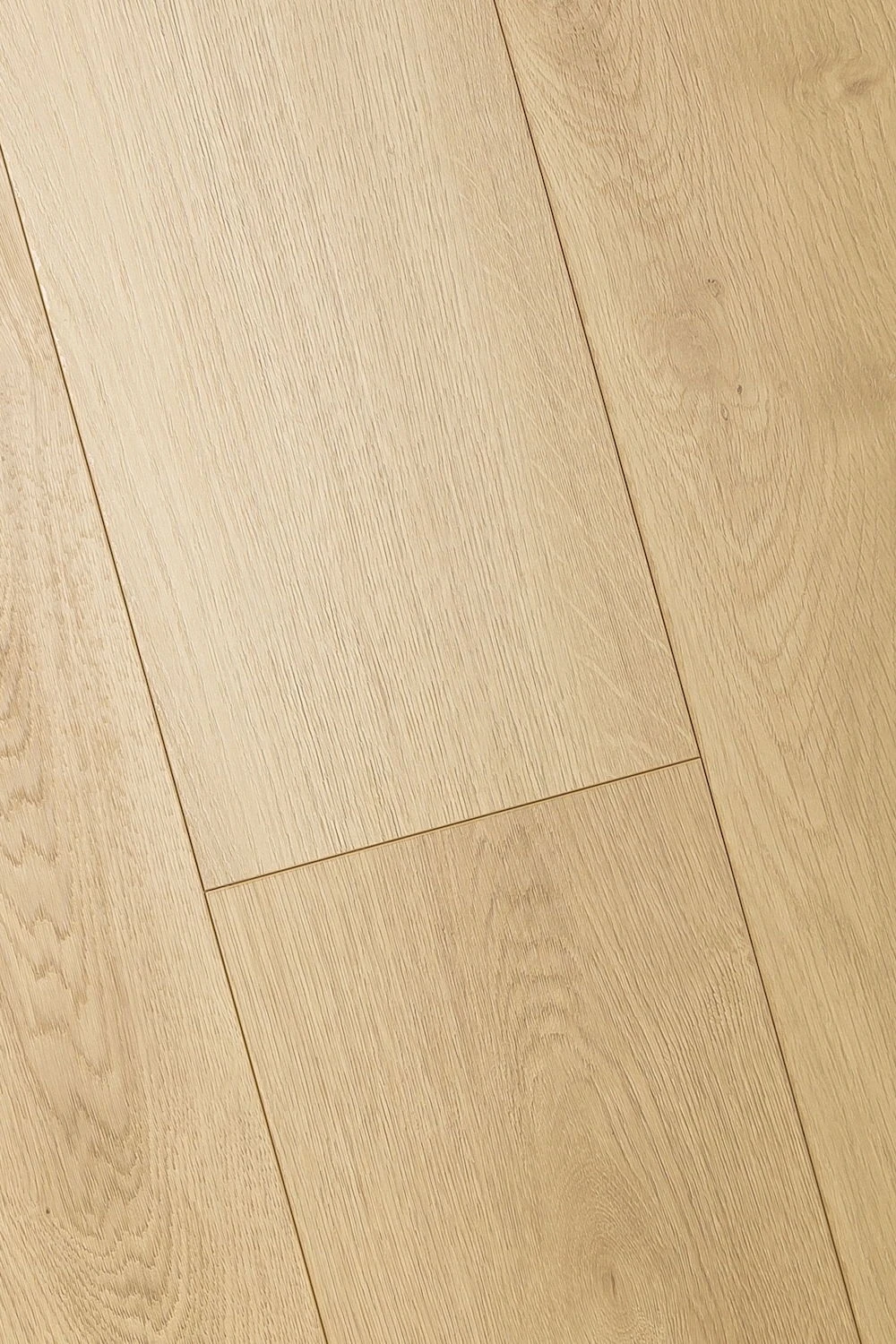 Дуб Валентия | Valentia oak 1F301