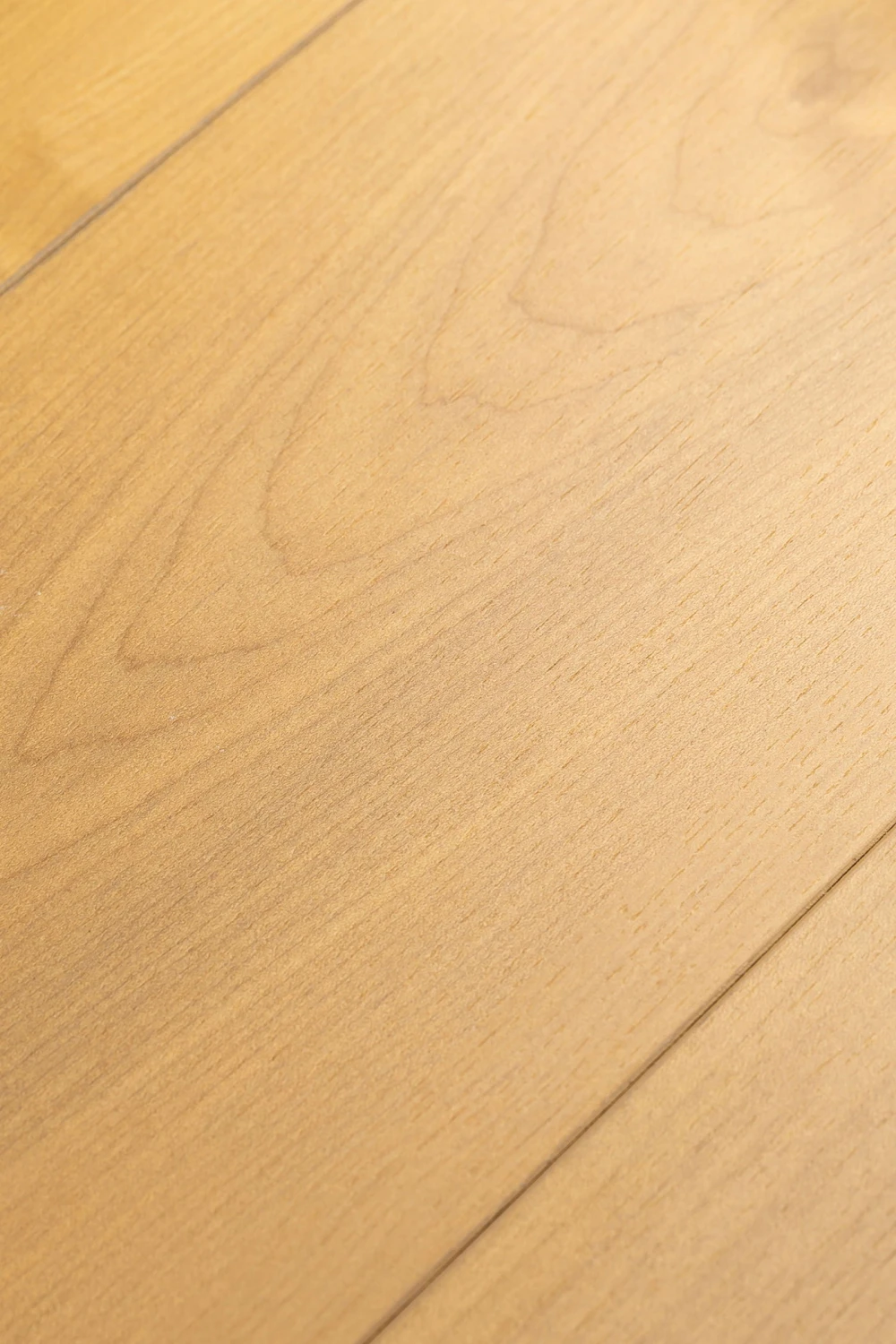 Дуб Ривьера | Rivera oak 1F407