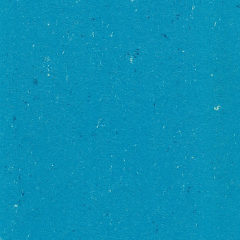 131-123 poppy blue