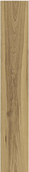 ATLAS CONCORDE RUSSIA RIVE Acqua Riva Ret Матовый 20x120